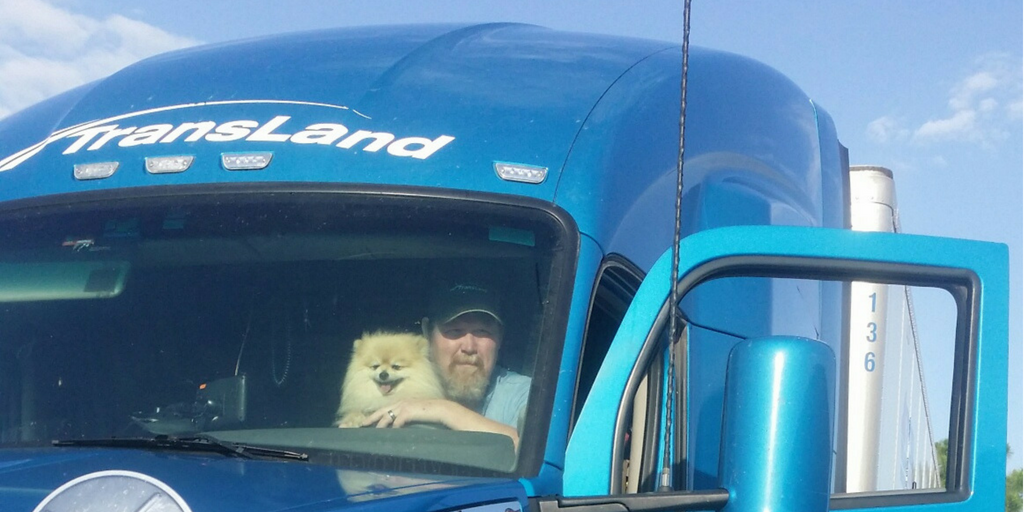 3 Types of Dogs That Are Best for Truck Drivers